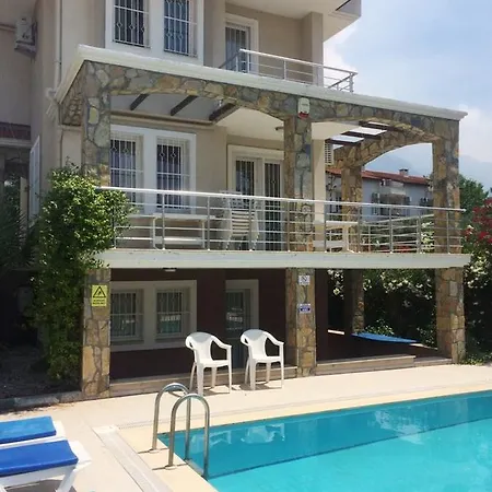 Mountain View Φετιγιέ